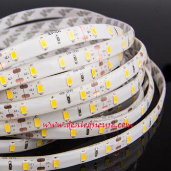 LED DÂY 5630 KHÔNG KEO TRẮNG