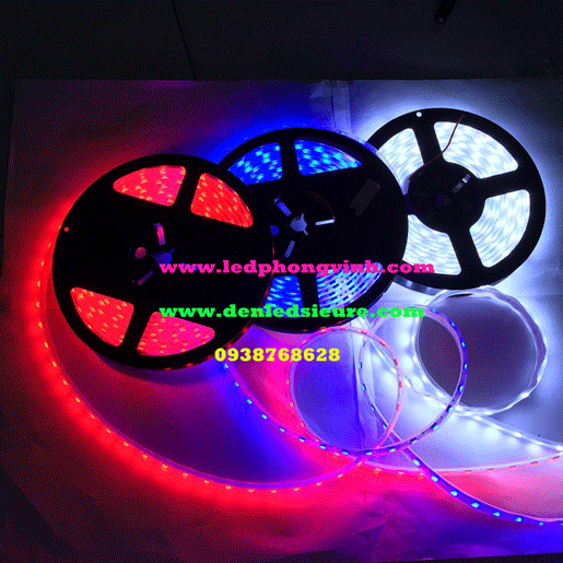 LED DÂY 12V 5054 ĐỎ/XANH LÁ/XANH DƯƠNG